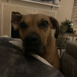 Fundraising Page: Nadya Teubert